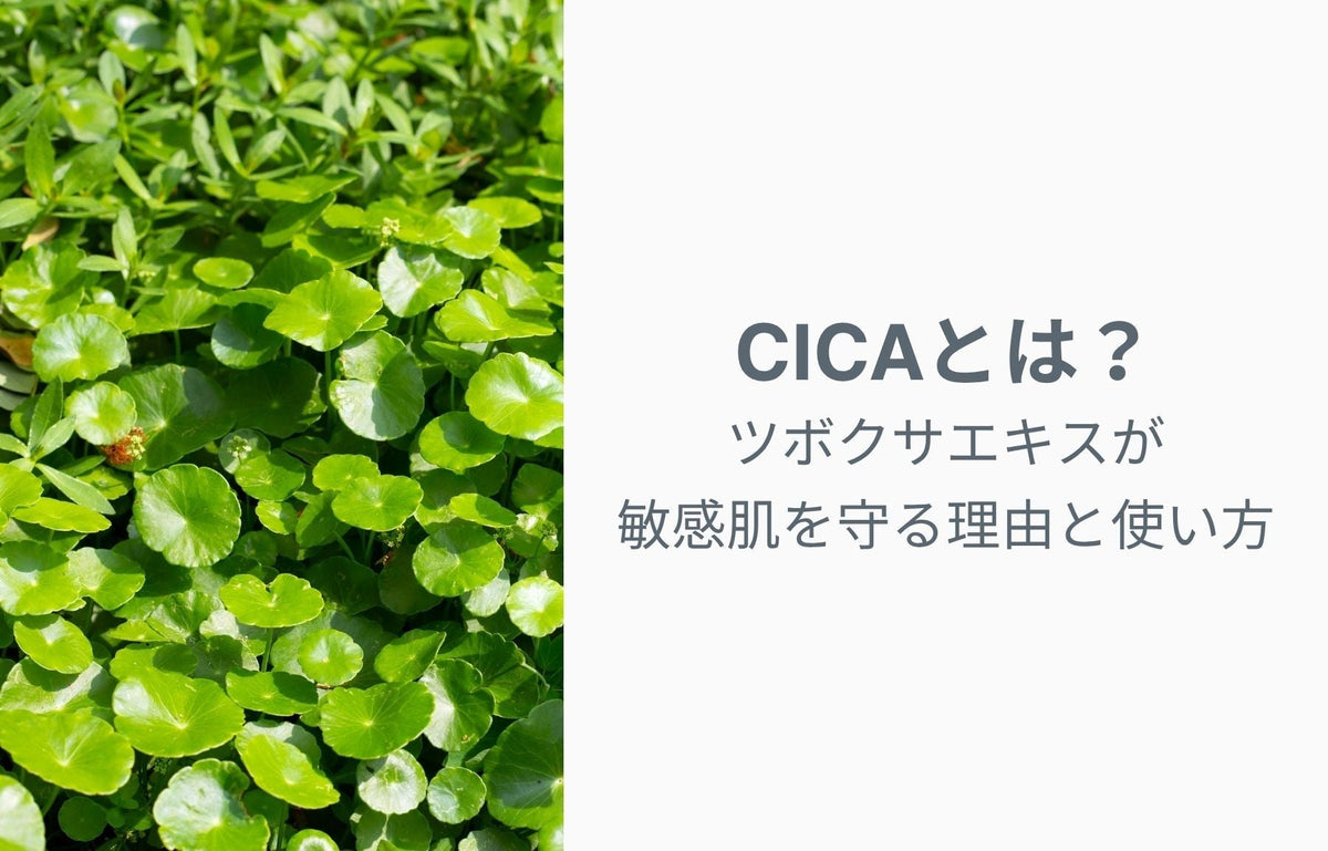 CICA（シカ）成分とは？ツボクサエキスが敏感肌を守る理由と使い方