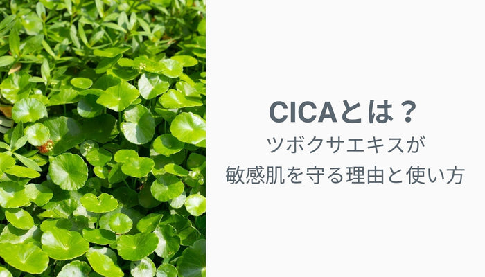 CICA（シカ）成分とは？ツボクサエキスが敏感肌を守る理由と使い方