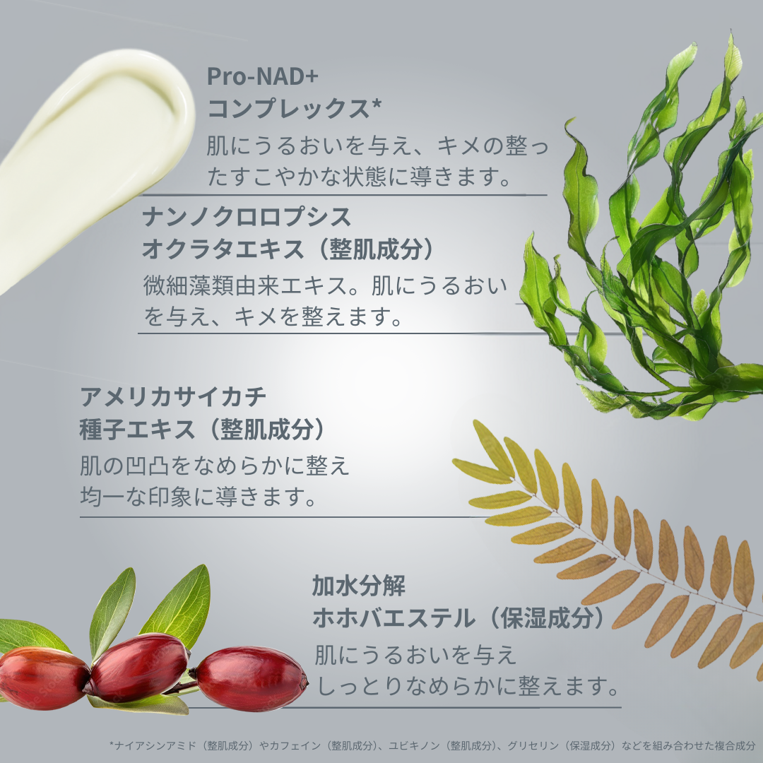 ダーマロジカ ダイナミックスキンスカルプター — 主要成分（Pro-NAD+・ナンノクロロプシス・サイカチ種子・ホホバエステル）の説明 | ボディケア