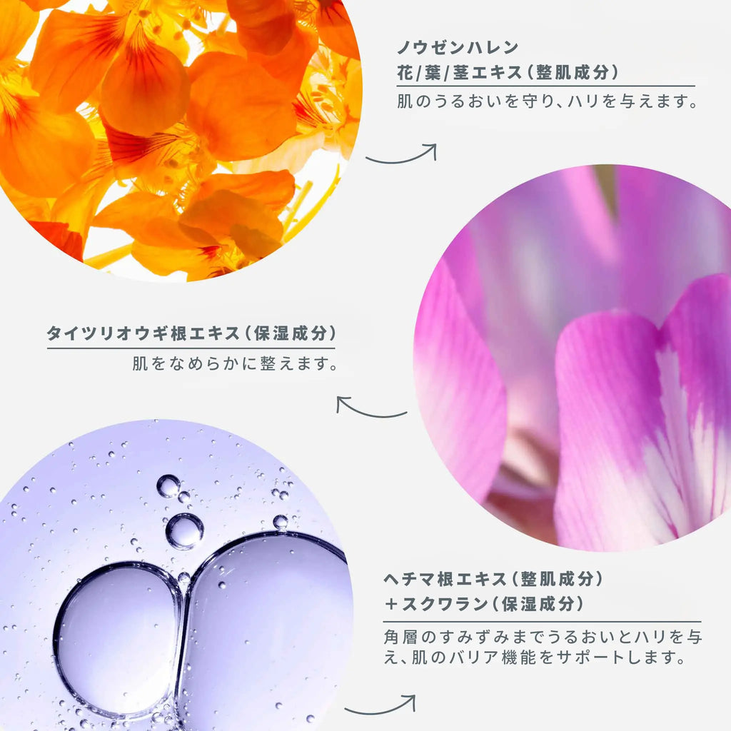 ダーマロジカ フィトN OXGクリーム — 主要成分（ノウゼンハレン花/葉/茎エキス・タイツリオウギ根エキス・ヘチマ根エキス＋スクワラン）の効果説明 | エイジングケアクリーム