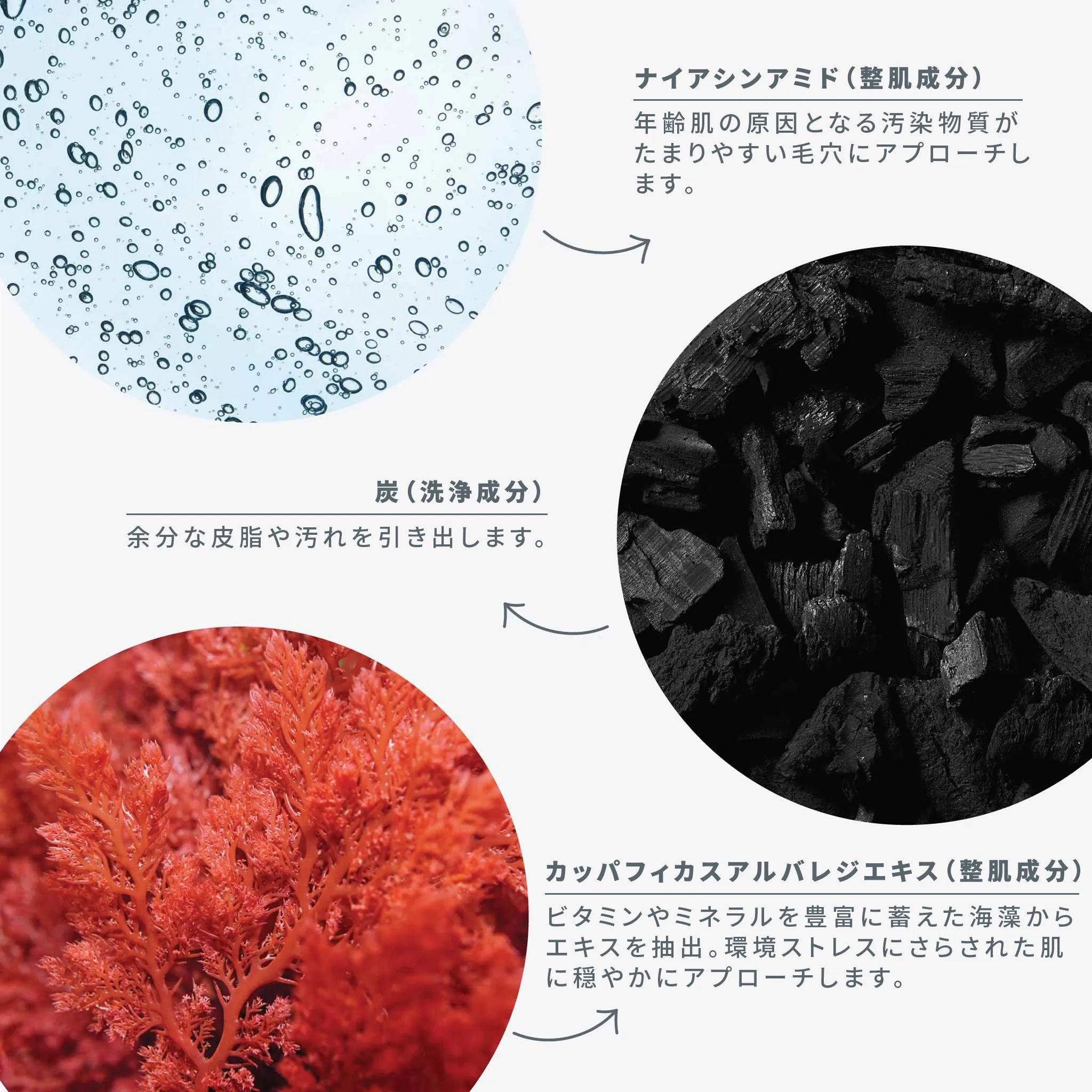 デイリー S フォリエント(角質ケア洗顔料) - ダーマロジカ公式 デイリー S フォリエント(角質ケア洗顔料) - ダーマロジカ公式