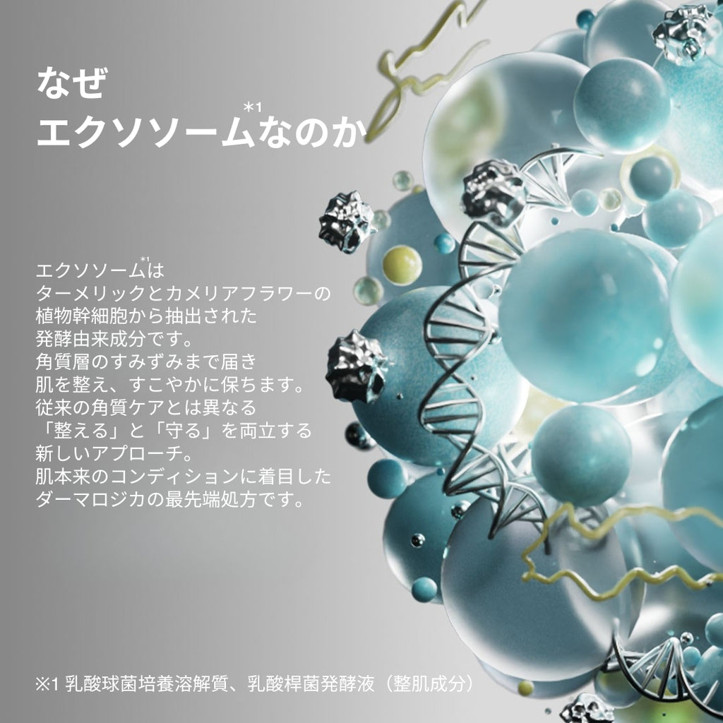 フィトN eスクエアード